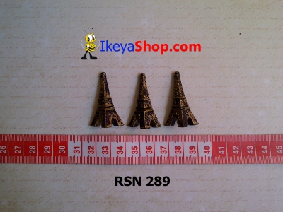 rsn 289  large2